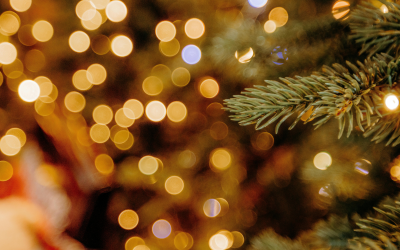 A Christmas Message to Trainee Dental Nurses: Start Planning for 2026